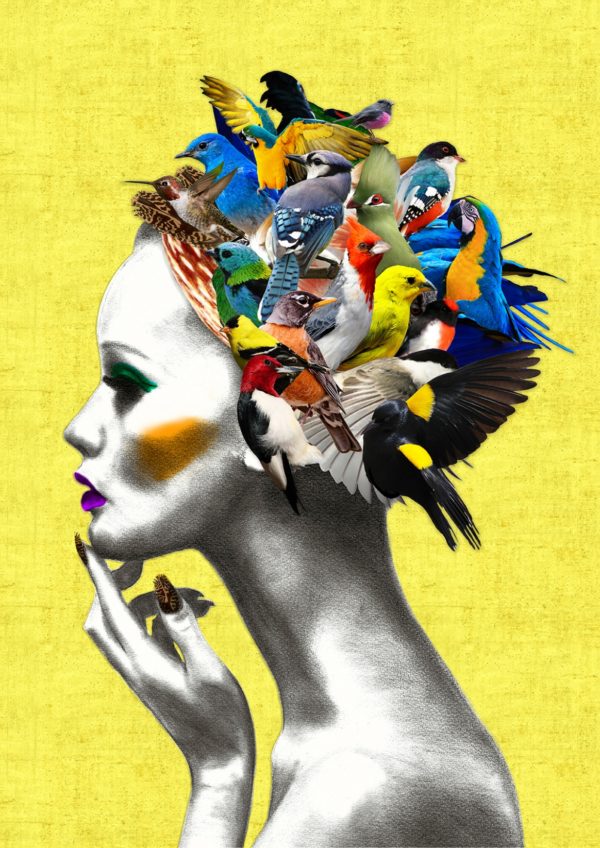 Bird girl yellow print on canvas
